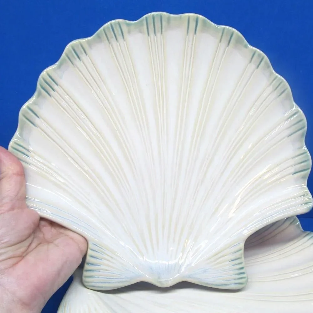 Home Studio plate scallop beach